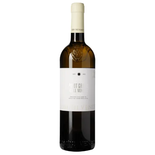 Domini Veneti, Pinot Grigio IGP